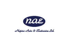 NAE Logo